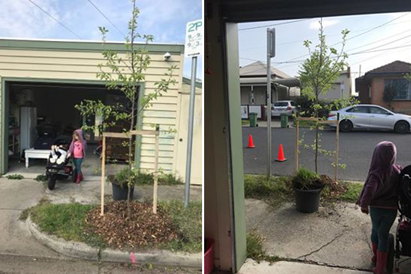Article image for Rumour File: Council plants tree in front of garage