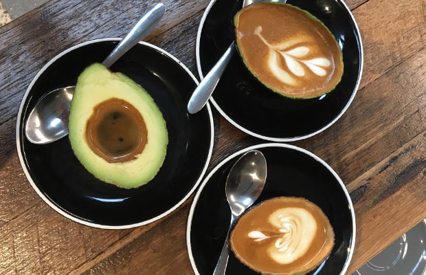 Article image for Denis Walter is told about avocado coffees!