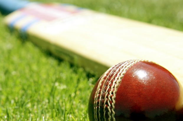 Article image for Teenage umpire attacked by man drinking at junior cricket match