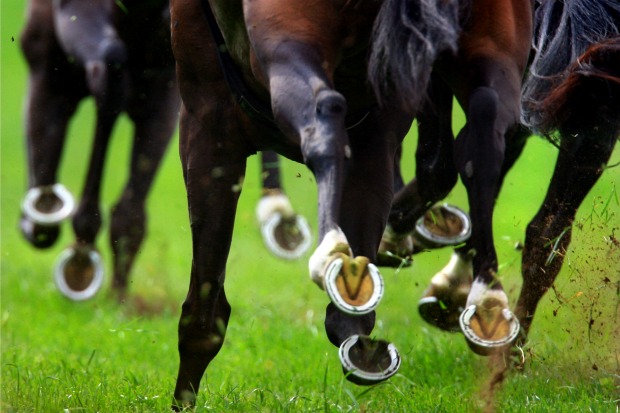 Article image for These four horses ‘can’t win’ the Caulfield Cup, says Ando!