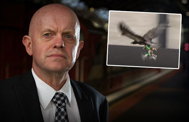 Article image for Drone-hunting sea eagles being trained by police, could soon be unleashed in Victoria