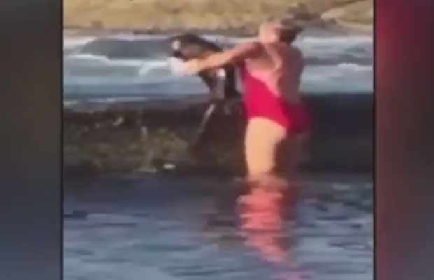Article image for Amazing video emerges of woman picking up a shark and throwing it back into the ocean!