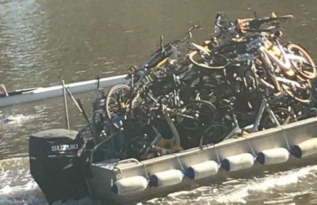 Article image for Why are people throwing oBikes into the Yarra River?