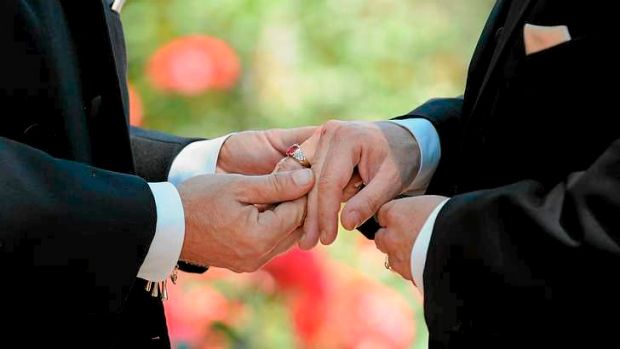 Article image for City of Sydney votes to offer free weddings – to same-sex couples only