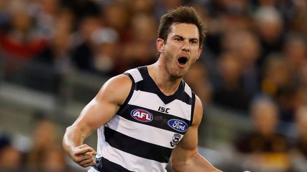 Article image for Menzel to remain at the Cats