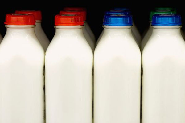 Article image for Victorian dairy introduces free-range milk following trend of ‘intense farming’