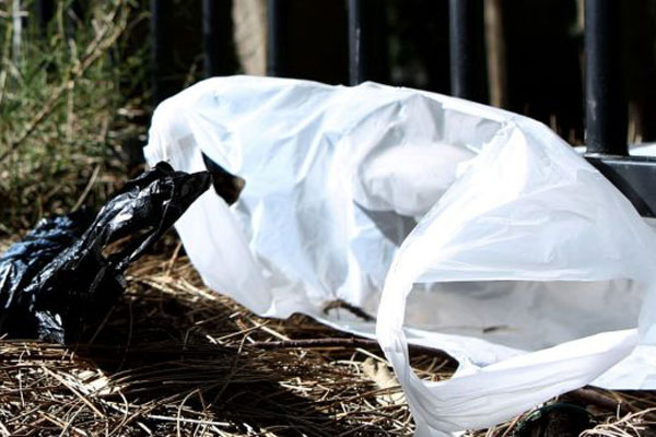 Article image for Single use plastic bags to be banned in Victoria