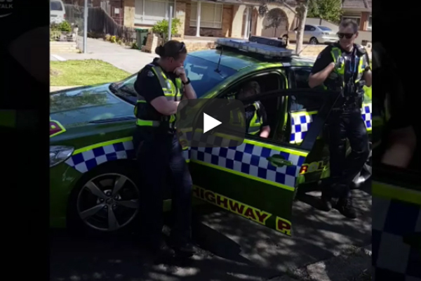 Article image for Six police, three cars respond to naughty bobcat driver