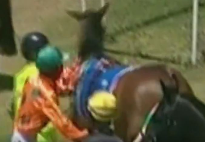 Article image for Jockey’s ban for punching a horse slammed as “completely inadequate”