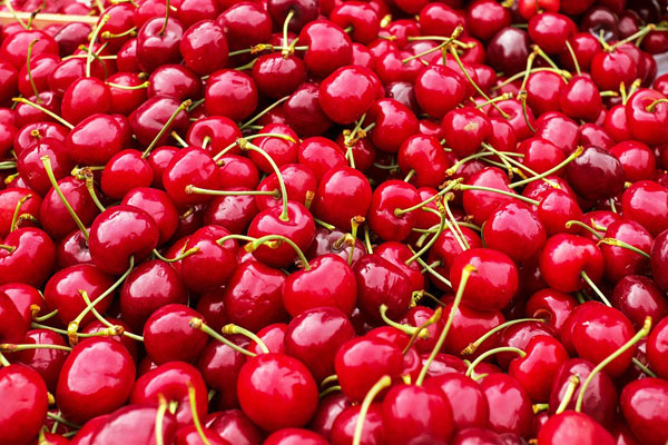 Article image for Cheap cherries: Bumper crop prompts price plummet in time for Christmas