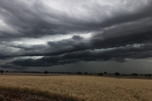 Article image for ‘Devastated’ farmers tell of their race against the rain