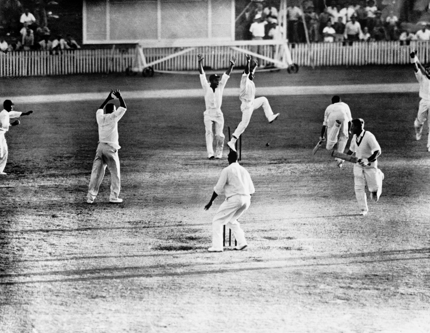 Article image for The unlikely story behind cricket’s most iconic photo