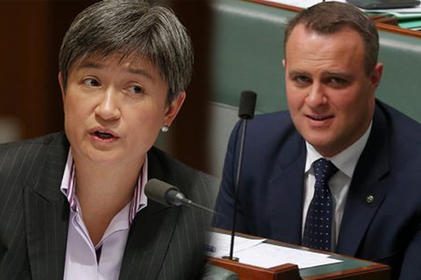 Article image for Federal MPs outline their boundaries for gay marriage exemptions