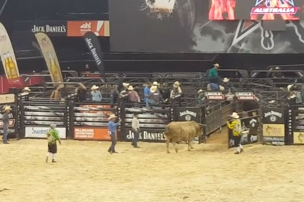 Article image for “Ban it” | Disturbing footage emerges of bull snapping its leg at a rodeo