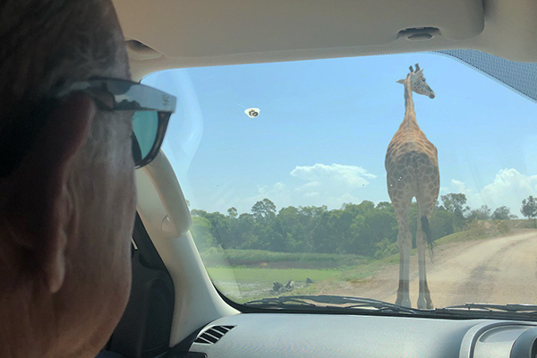 Article image for VIDEO: Ross and John at the Werribee Zoo