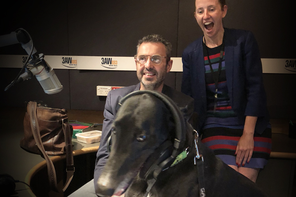 Article image for 3AW goes to the dogs in new greyhound adoption push