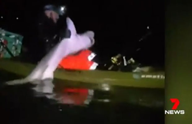 Article image for Fisherman flipped into Western Port after hooking shark in kayak