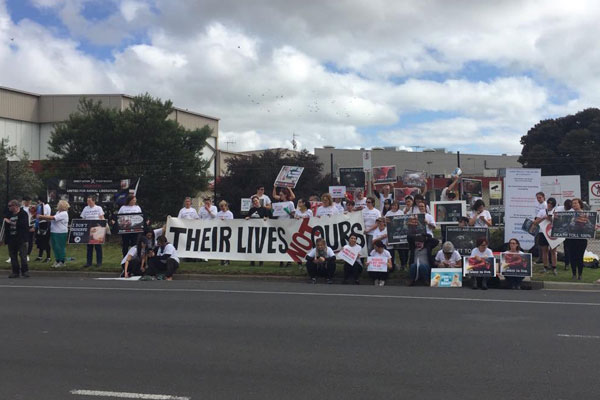 Article image for Chicken protest: Vegan group protests at Geelong abattoir