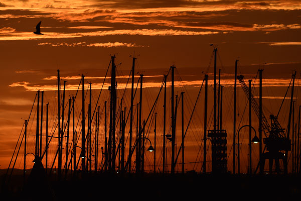 Article image for Melburnians hit with power blackouts again after another hot night