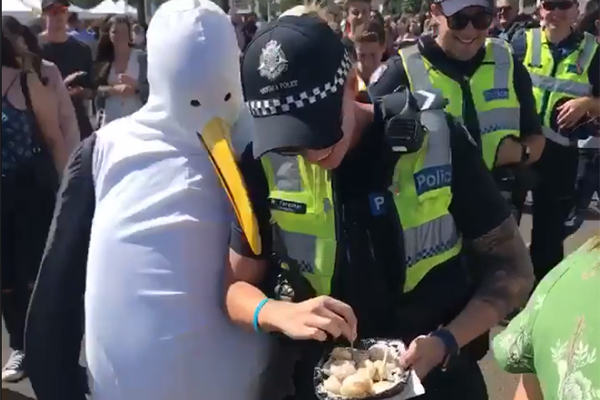 Article image for VIDEO: Victoria Police officer set upon by ‘seagulls’ when eating hot chips