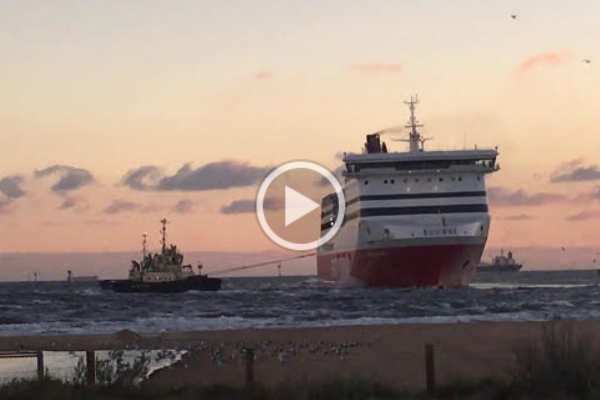 Article image for Power cut, ships cut loose in windy Melbourne