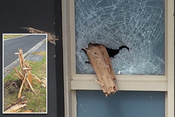 Article image for Photos: Lightning turns tree into dangerous spear that smashes through front door