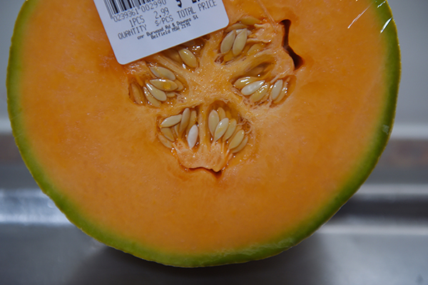 Article image for Another death and miscarriage linked to contaminated cantaloupe