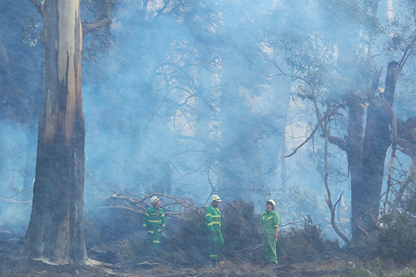 Article image for Devastated: At least 10 homes lost in south-west fires