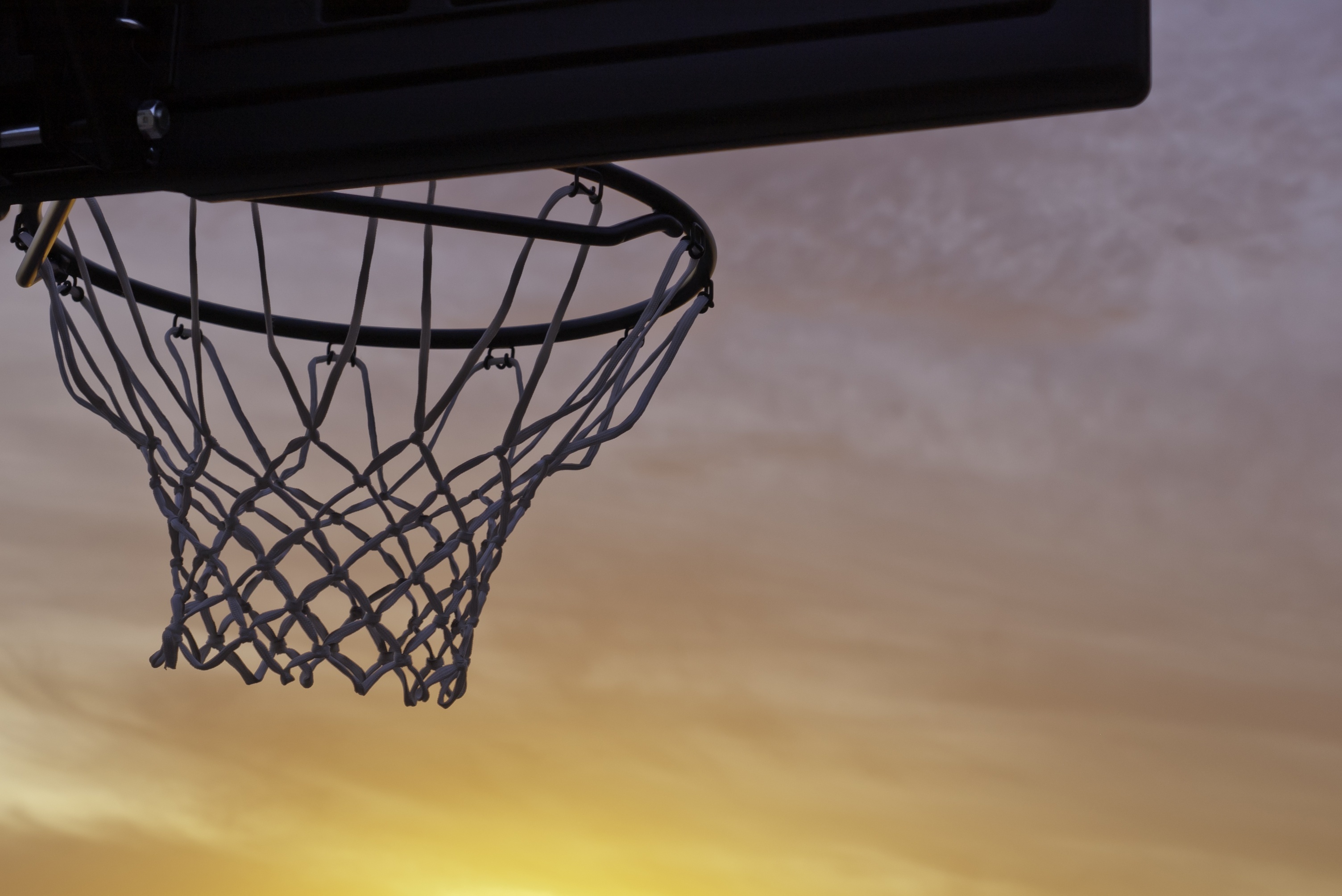 Article image for Council bureaucracy hits local basketball courts