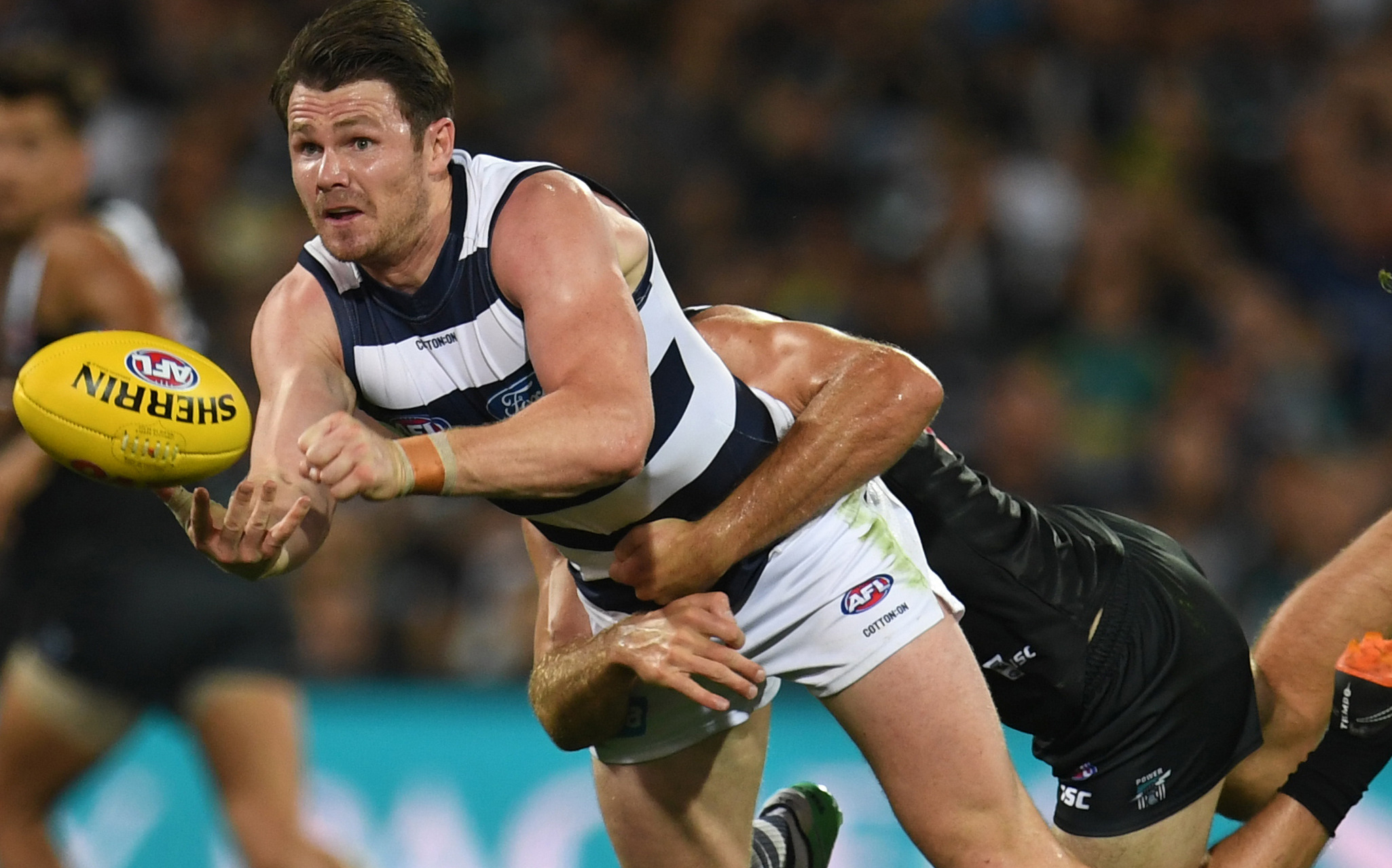 Article image for Cats claw their way to 34-point win over Port Adelaide