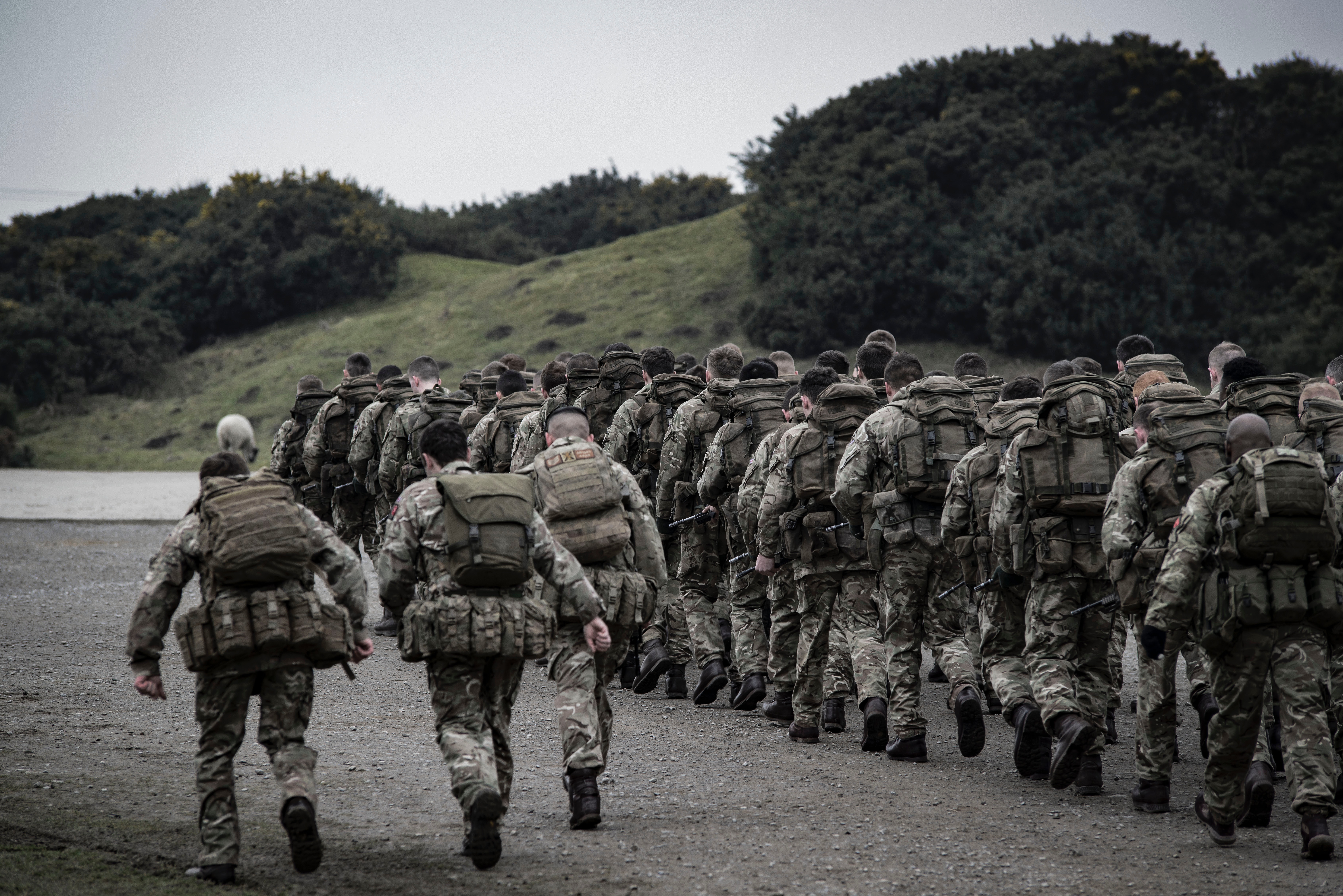 Article image for British Army reviews ban on beards after fear rule is putting off potential recruits