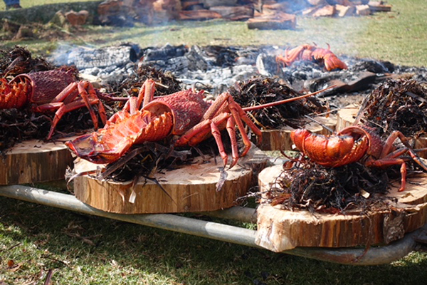 Article image for Kate visits Flinders Island for the inaugural Food and Crayfish Festival