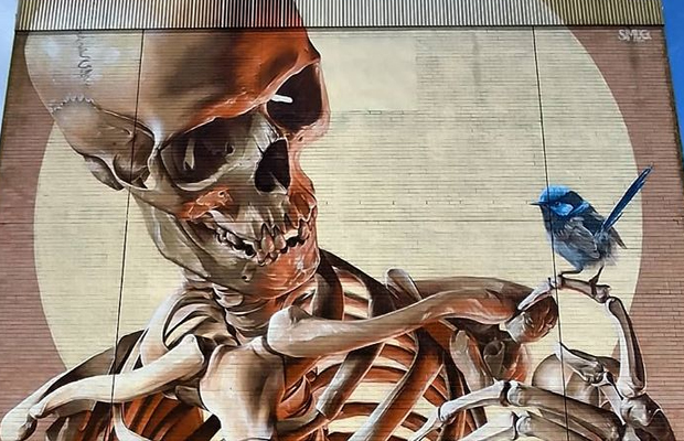 Article image for ‘Frightening the kids’: The street art dividing Franskton