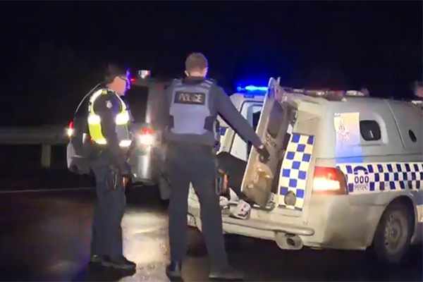 Article image for Dramatic overnight police chase ends in four arrests