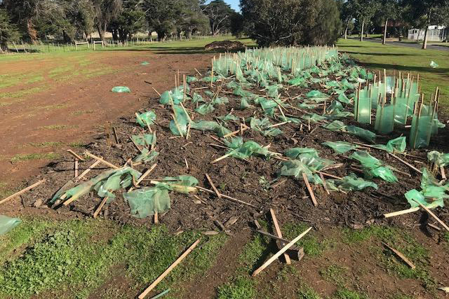 Article image for Vandals cause $20k worth of damage to trees in Melbourne’s west