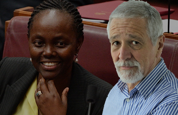 Article image for Liberal senator’s stunning salary claim on Kenyan television