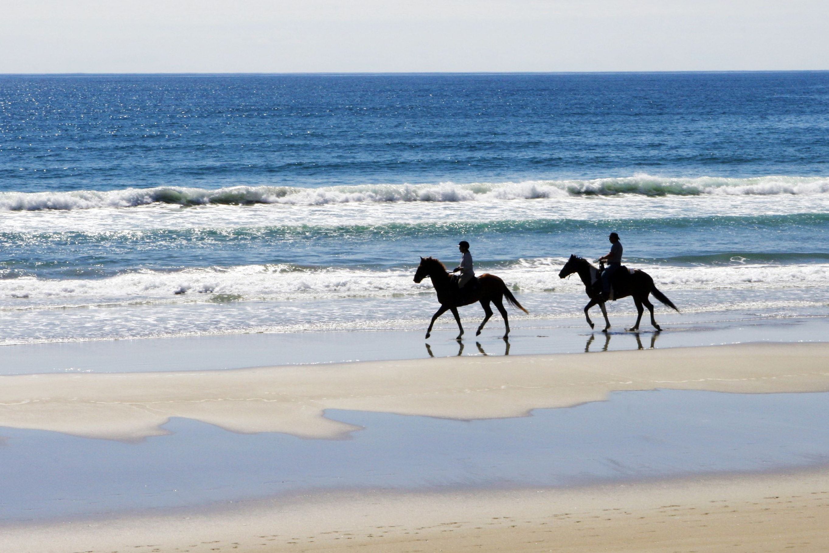 Article image for Environmentalists fight against horse trainers riding along Warrnambool beaches