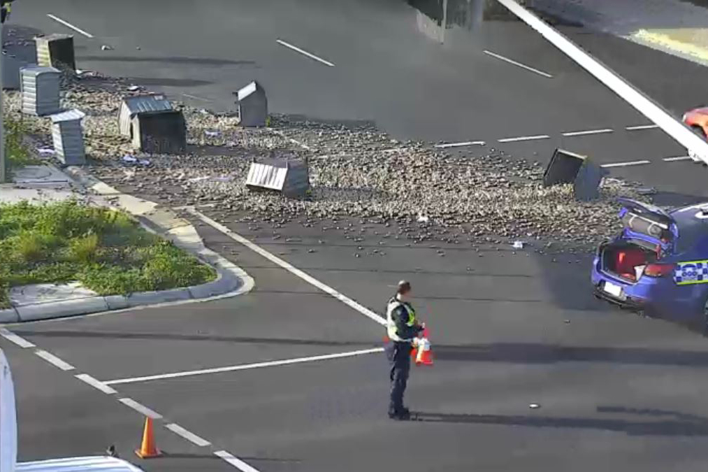 Article image for Mess strewn across road after Oakleigh truck prang