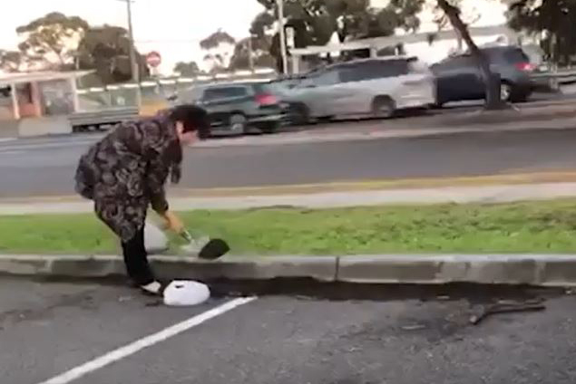 Article image for Video: Bizarre behaviour in car park caught on camera