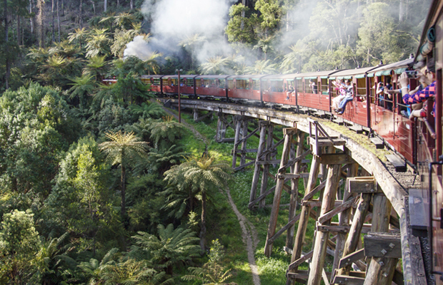 Article image for Rumour File: Board dismissal earmarked in ‘distressing’ Puffing Billy report