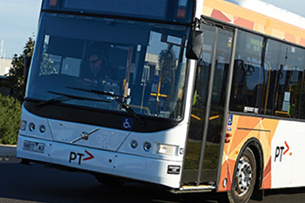 Article image for ‘Bus rage’: Peninsula drivers copping it as summer traffic causes long waits