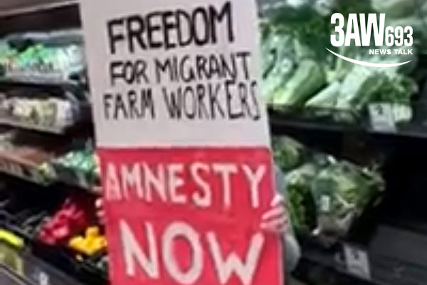 Article image for Video: ‘Freedom for migrant workers’ protesters storm supermarket