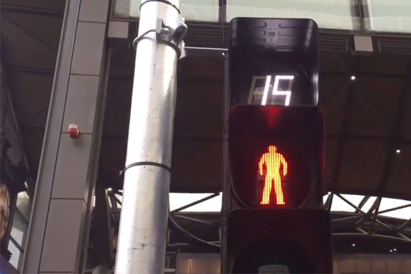 Article image for Pedestrian crossing countdown clock installed in CBD