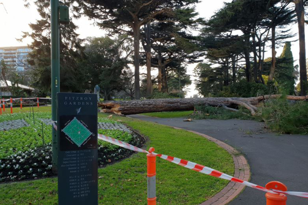 Article image for A tremor, a landslide and hundreds of trees down: Wild night for SES across Victoria