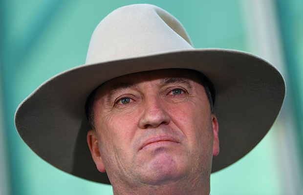 Article image for Barnaby Joyce discusses his new baby and new book