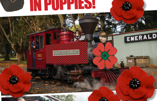 Article image for How you can help cover Puffing Billy in poppies on Remembrance Day!
