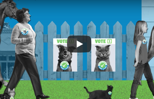 Article image for Video: The RSPCA is mobilising in a new political call to arms