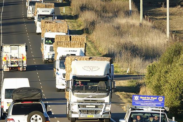 Article image for Truckloads of Tassie hay being driven across to help drought-stricken NSW farmers