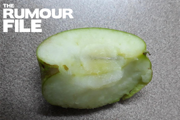 Article image for Rumour File: Needle found in apple bought at Melbourne supermarket