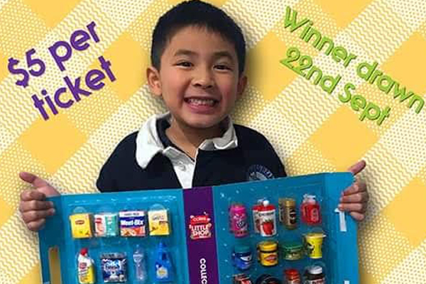 Article image for Little boy selling his Coles mini shop collectables to raise money for Royal Children’s Hospital